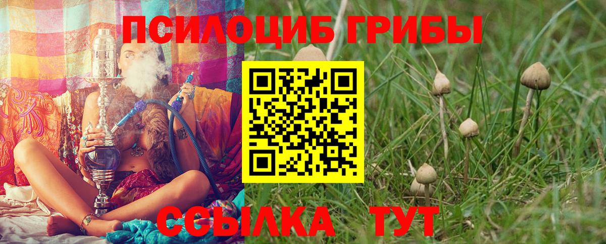 Владикавказ  Псилоцибиновые грибы ЛСД  сколько стоит  Вход с VPN 